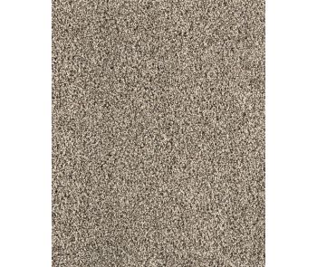 Detailed Statement Textured SmartStrand Carpet