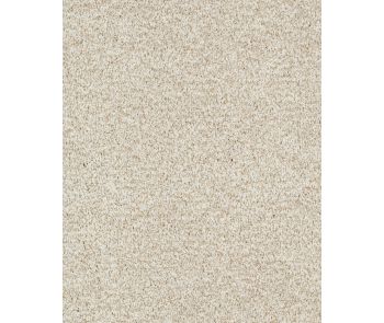 Stylish Connection Textured 45oz Nylon Carpet