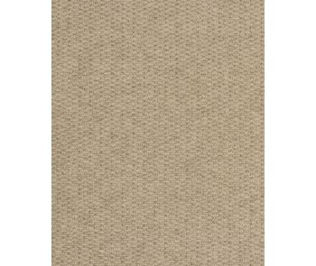 Canyon Ridge II 100% Wool 27oz Textured Carpet