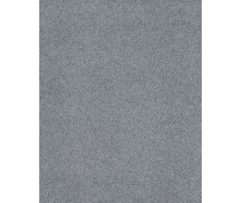 Opulent Tradition Textured Nylon 65oz Carpet