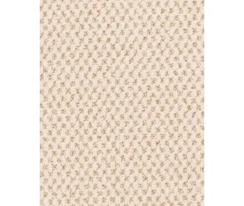 Timeless Effects Patterned 45oz SmartStrand Carpet