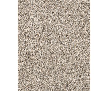 Leon Aurora Textured 40oz SmartStrand Carpet