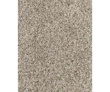 Cosmic Textured 70oz Everlux Nylon Carpet