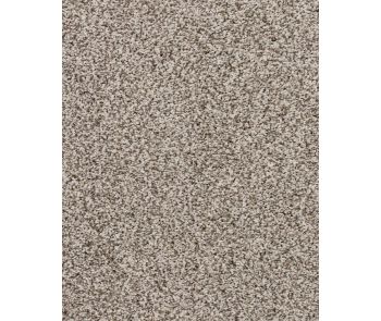Apollo Bay Textured 45oz SmartStrand Carpet