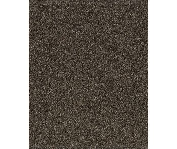 Gentle Quality Kashmere Nylon Carpet