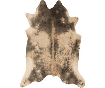 Grand Canyon GC-13 Beige/Ash Area Rug