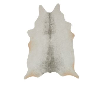 Grand Canyon GC-15 Silver/Grey Area Rug