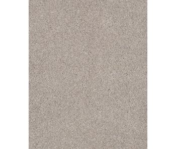 Lavish Attraction Textured Carpet