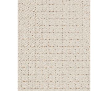 Matrix Patterned Nylon 46oz Carpet