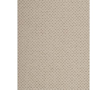 Kenetic Detail SmartStrand 55oz Carpet