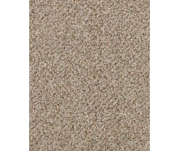 Revived Classic Textured 60oz SmartStrand Carpet