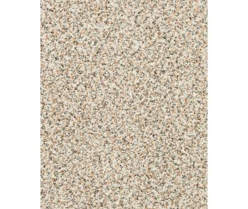 Instinctive Classic Textured 42oz SmartStrand Carpet
