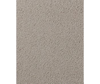 Salinas Valley II Textured 55oz SmartStrand Carpet