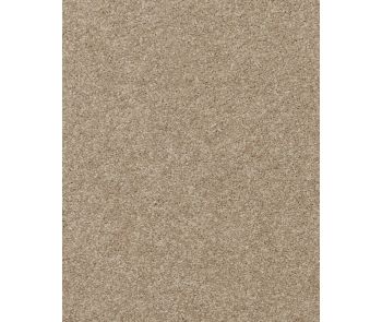 Delicate Shades Textured 70oz SmartStrand Carpet