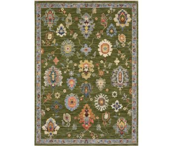 Lucca 2863E Green/Multi Area Rug