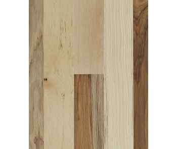 Natural Forest Hickory 3 1/4" Country Natural Hardwood