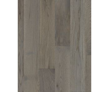 Natural Forest Oak 4" Winter Neutral