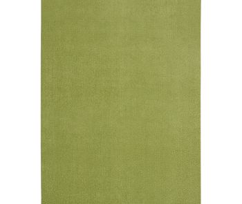 Nourison Essentials NRE01 Green Area Rug