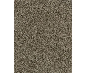 Dove Creek SmartStrand Textured 45oz Carpet