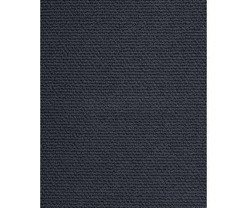 Woven Enchantment SmartStrand 48oz Carpet