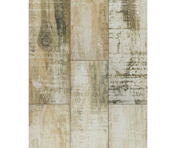 Oxidized Plank Weathered Beach Wood Tile