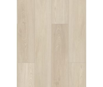Paladin Plus Silver Dollar Luxury Vinyl