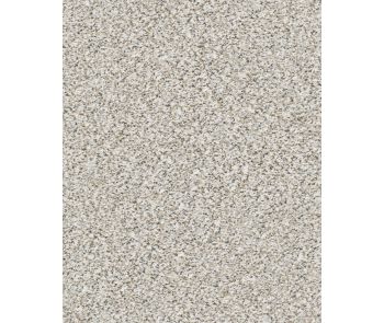Pikes Peak Textured Nylon Carpet