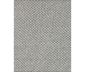 Pleasant Shades Kashmere Nylon Carpet