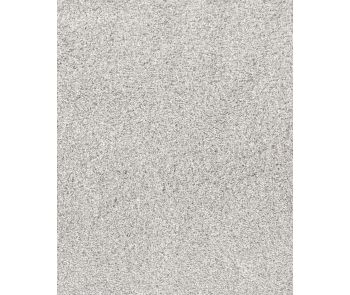 Quiet Sanctuary Pet Friendly 58oz Carpet