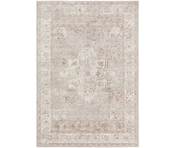 Rhodes RR6 Taupe Area Rug