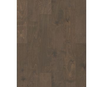 St. Petersburg Windsurf 5" Birch Hardwood