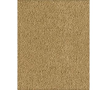 Soft Excellence Textured SmartStrand Carpet