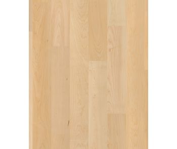 Natural Classics Hard Maple 5" Hardwood
