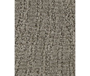 Trendy Charm EverStrand Carpet