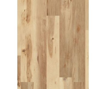 COREtec Pro Plus XL 7"x72" Havanna Hickory Luxury Vinyl