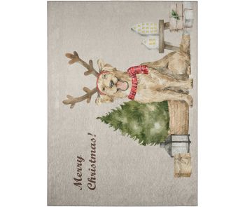 Wonderland WN8 Beige Area Rug