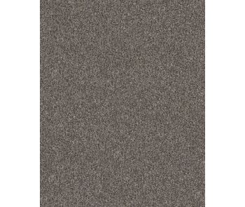 Confidence II Marble Textured Carpet