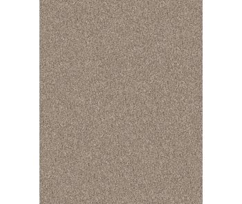 Confidence II Natural Textured Carpet