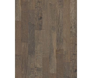 Yukon Maple 6 3/8" Timberwolf Hardwood
