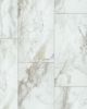 Paragon Tile Plus Calacatta 12