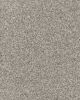 Apricity Textured Smartstrand 40oz Carpet