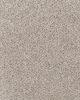 Canine Comfort Pet Friendly 85oz Carpet
