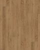 COREtec Plus XL Enhanced Waddington Oak Luxury Vinyl