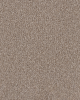 Refined Chic Glacier Textured Carpet