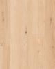 Mavericks Santa Cruz Sand Oak 9