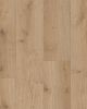 Mavericks Pillar Point Oak 9