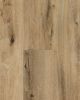 Cali Select XL Natural Elm Vinyl Plank