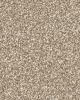 Stonecrest Heartfelt Textured 105oz PET Cloud 9 Carpet