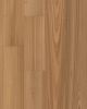 Valencia Walnut Sesame European Walnut 7