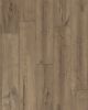Adura Rigid Plank Coventry Forest Luxury Vinyl
